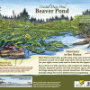Lake Earl Beaver Pond Sign